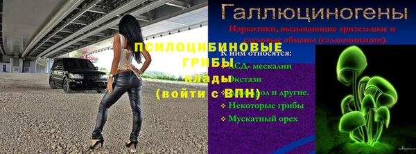 дурь Алзамай