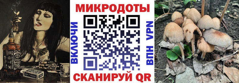 что такое наркотик Сунжа Псилоцибиновые грибы MAGIC MUSHROOMS