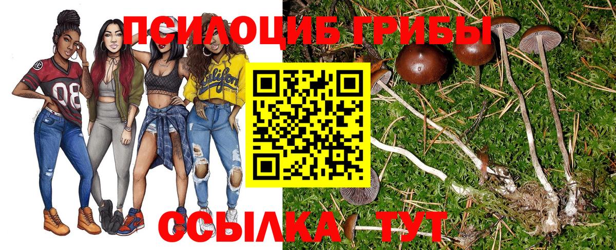Псилоцибиновые грибы Psilocybine cubensis Сунжа