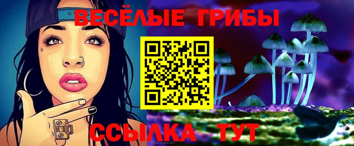 Псилоцибиновые грибы Magic Shrooms  Вход с VPN  Сунжа 
