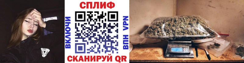 Бошки Шишки VHQ Сунжа